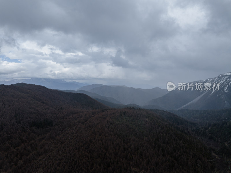 航拍香格里拉云雾中宏伟的雪山、森林