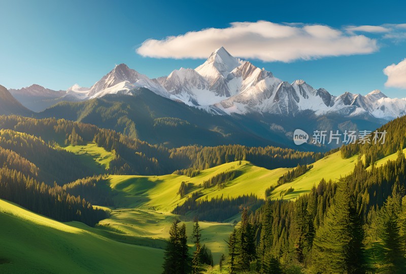 雪山高原草原森林风景