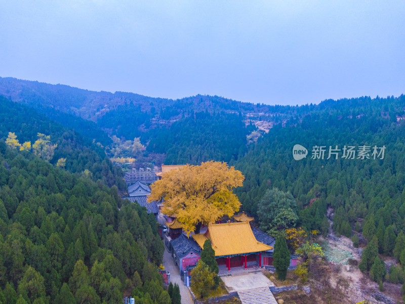 山东济南淌豆寺秋天航拍