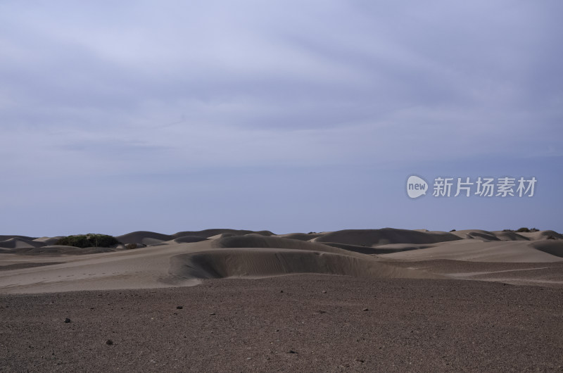 内蒙古阿拉善额济纳旗黑城遗址旅游景区