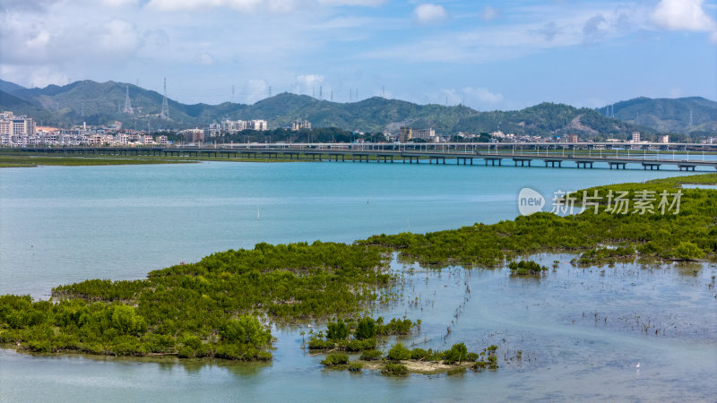 惠州盐洲海洋湿地公园-红树林湿地风光