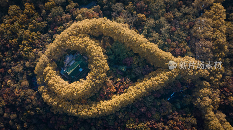 南京美龄宫秋景航拍（图2）