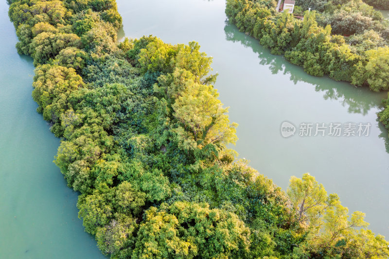 三亚市吉阳区临春河路白鹭公园，红树林公园