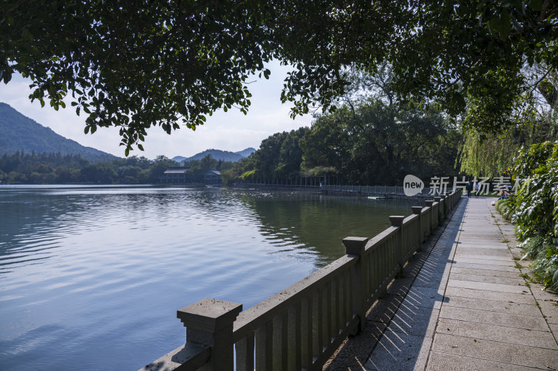 杭州西湖花港观鱼风景