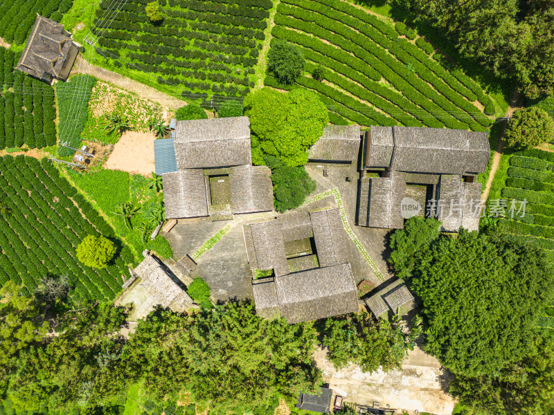 航拍西双版纳勐海茶马古道