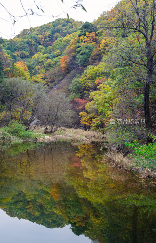 河南省洛阳白云山九龙潭秋天风景