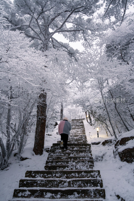 黄山上雪中有人正在攀登覆雪的石阶