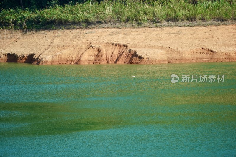 云南忙时孔雀湖