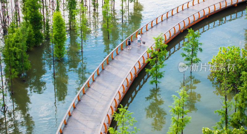 武汉江滩夏季湿地公园水上栈道