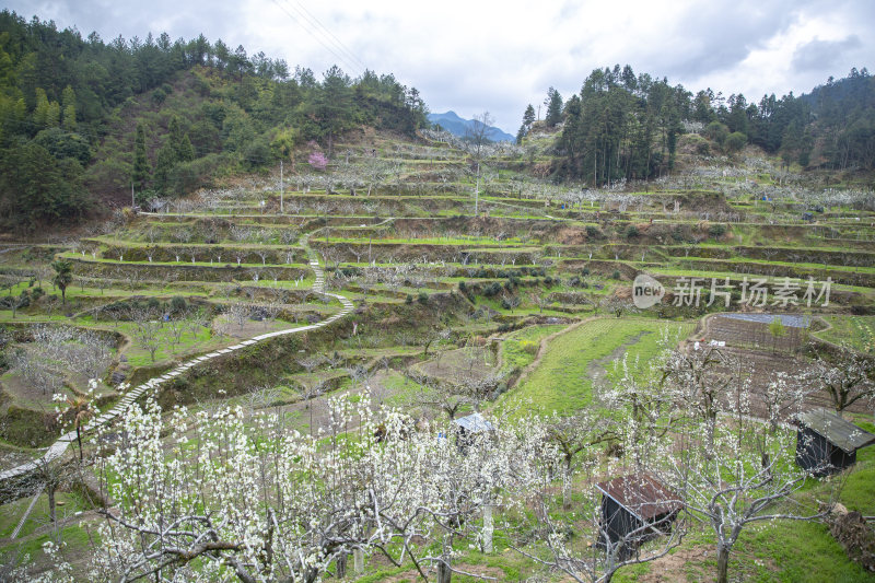 梨园风景云和苏坑