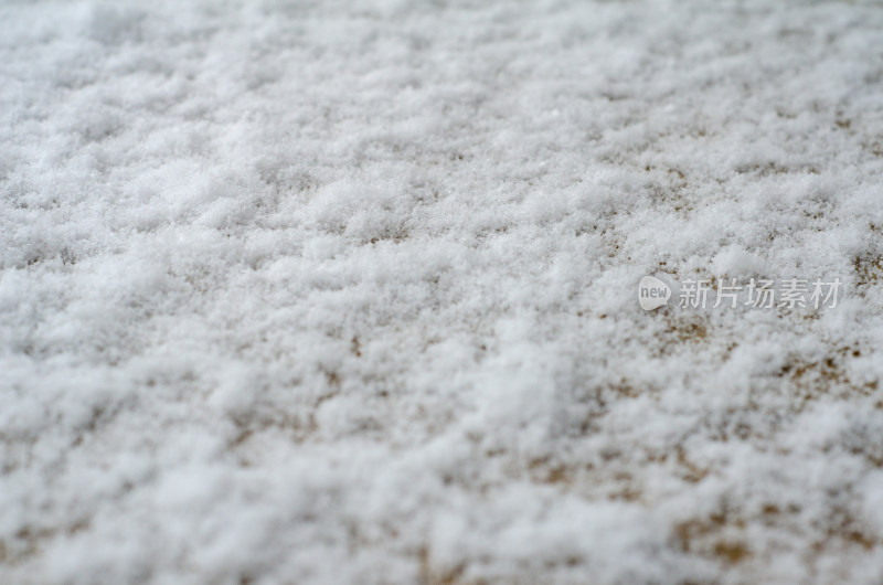 冬天刚刚落下的积雪