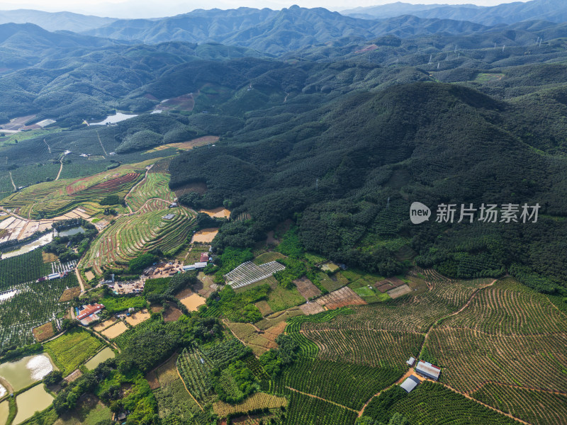 航拍云南西双版纳乡村田园风光