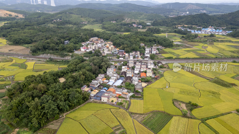 韶关浈江犁市茶山田园风光