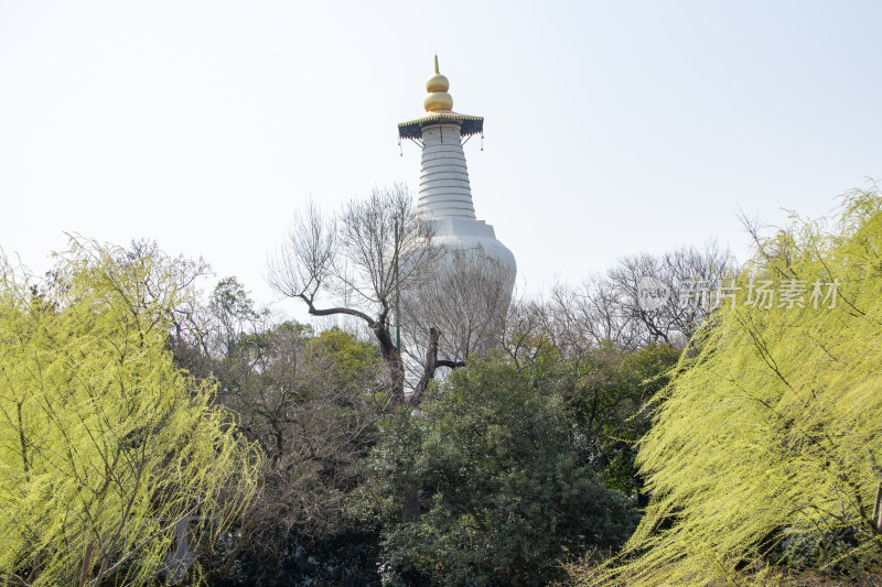 江苏省扬州市瘦西湖风景区白塔春日风光