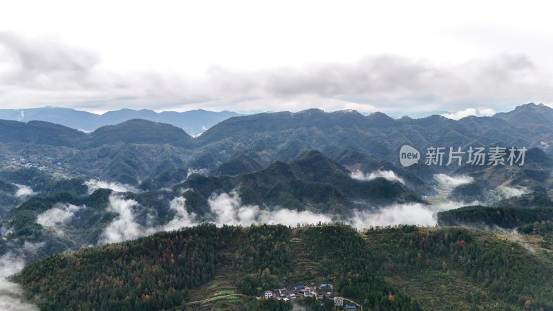 重庆酉阳：白果树边的美景