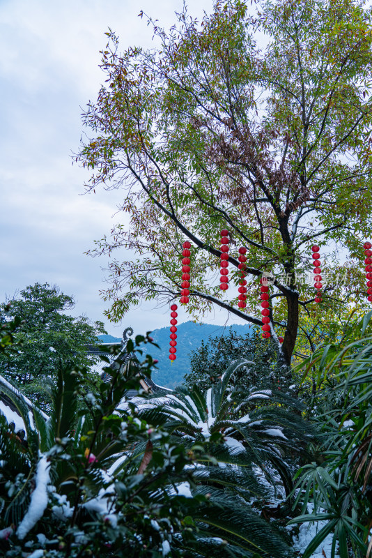 法喜寺吊挂灯笼雪景