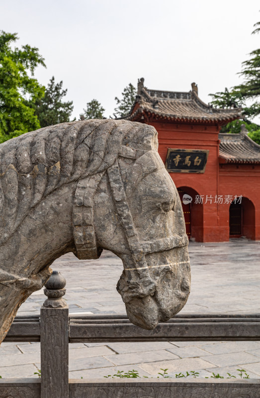 洛阳白马寺入口门白马石狮子景点景观