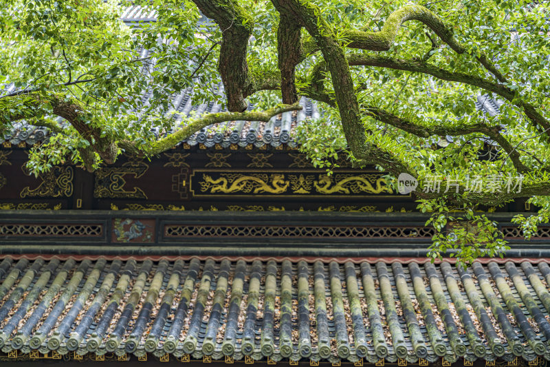 浙江普陀山法雨寺禅院