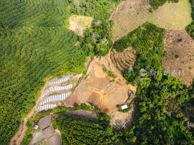 航拍山区绿色生态农业景观