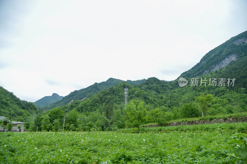 山间田园水泥路风景