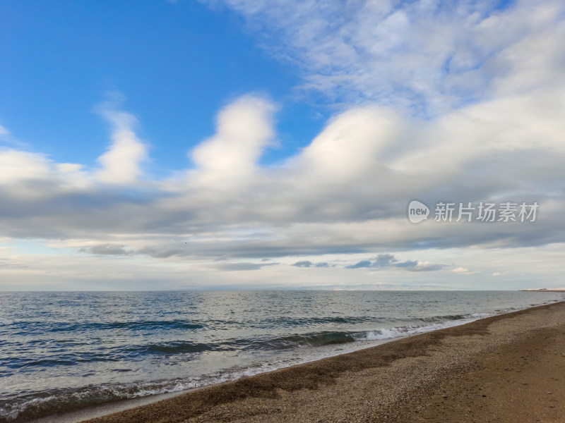 六月的青海湖天鹅湖傍晚蓝调时刻