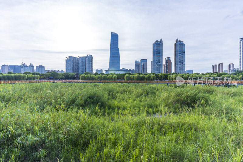 武汉汉口江滩公园风景