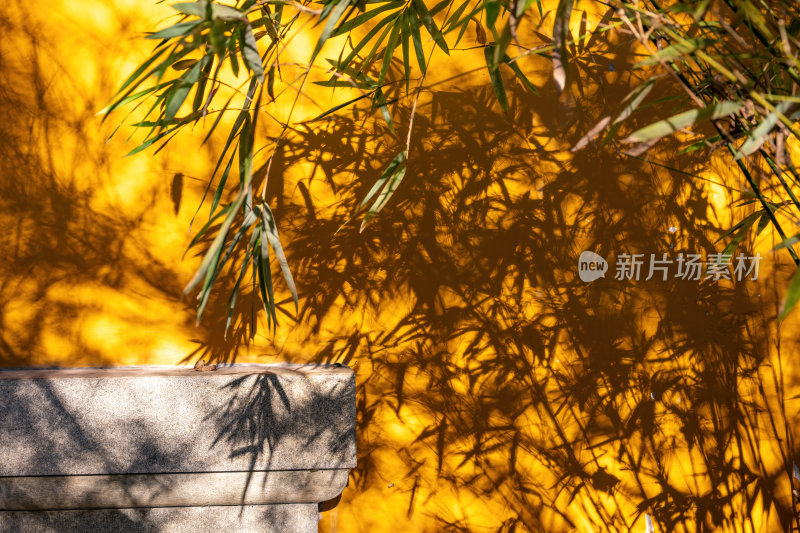 浙江杭州永福禅寺古寺秋景枫树红叶禅意