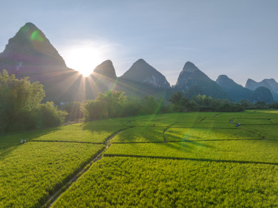 阳光下绿意盎然的稻田及远处群山风景