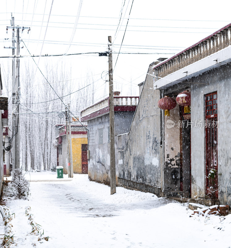 乡村雪地雪景