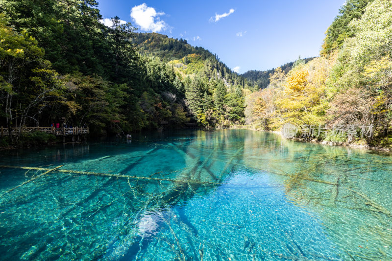 九寨沟五花海