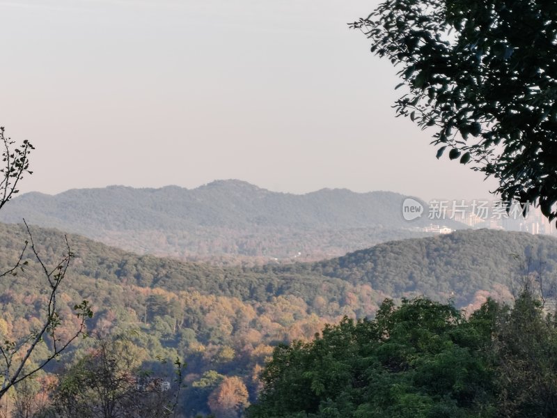 山林景观远景，植被茂密层次丰富