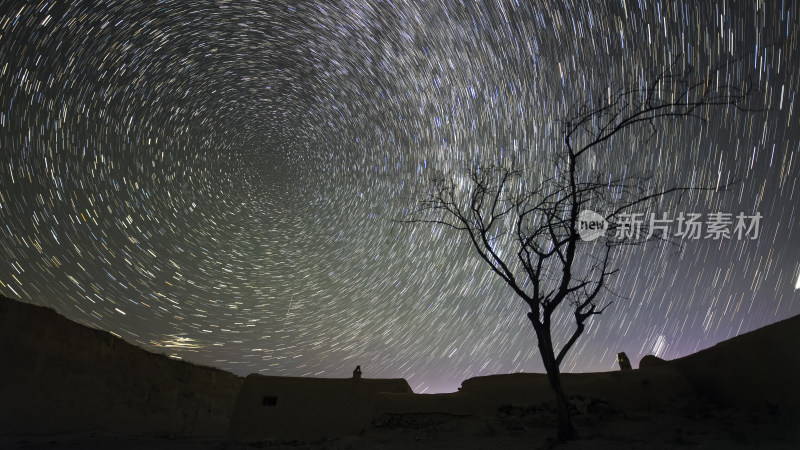 夜空星轨下的枯树与建筑