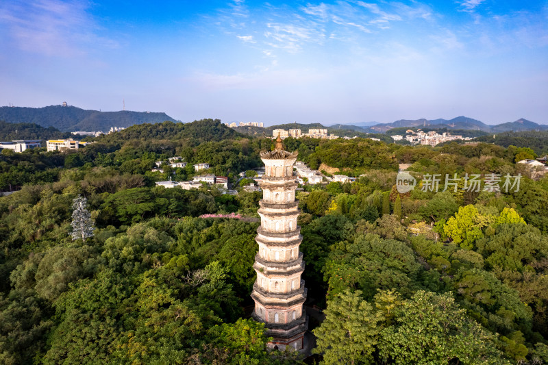 惠州西湖泗洲塔航拍