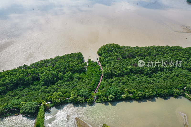 深圳市福田红树林保护区