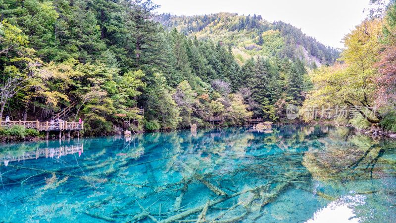 四川阿坝九寨沟景区秋天的景色