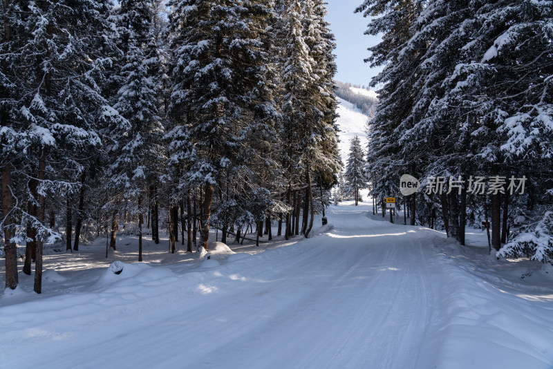新疆喀纳斯大雪覆盖的林中公路