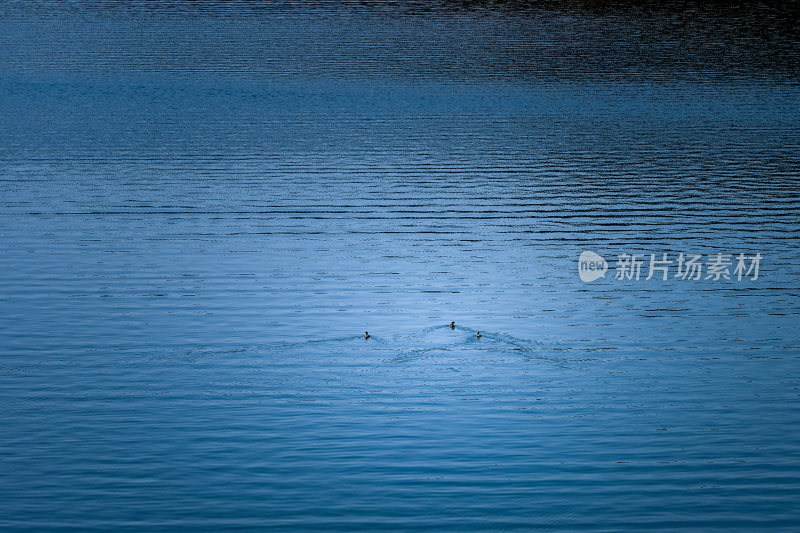 宁静的湖面水面