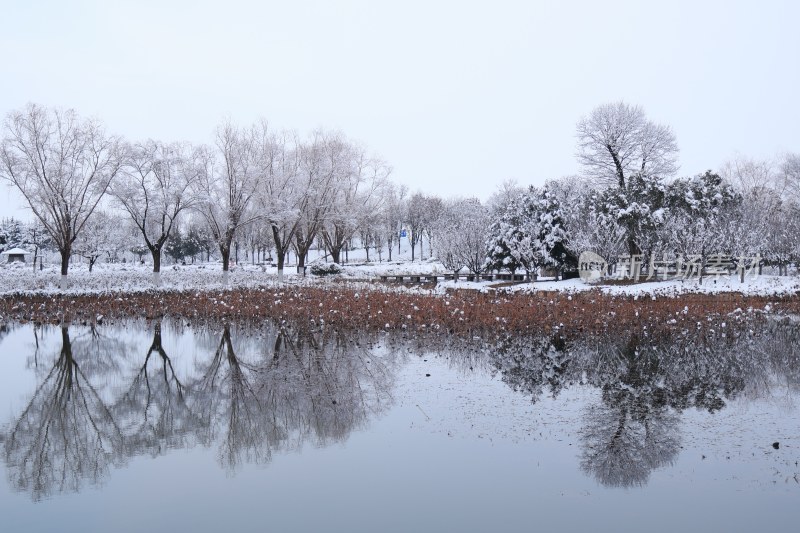 冬季湖边雪景