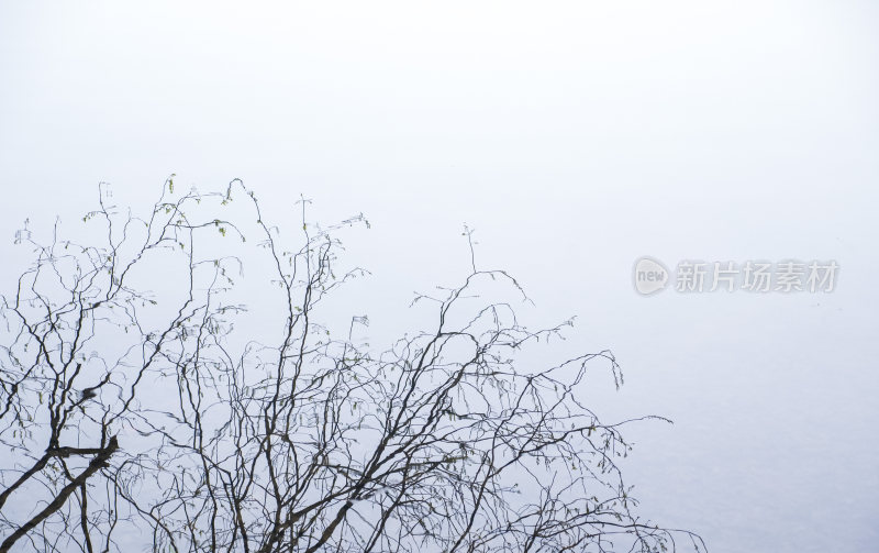 杭州西湖茅家埠江南水乡风景