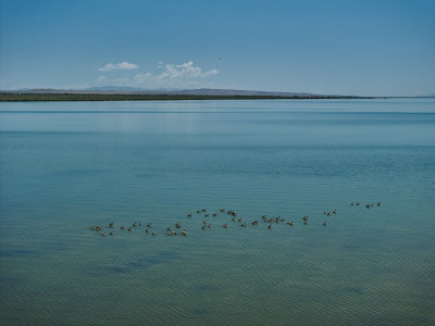 可鲁克湖湿地保护区