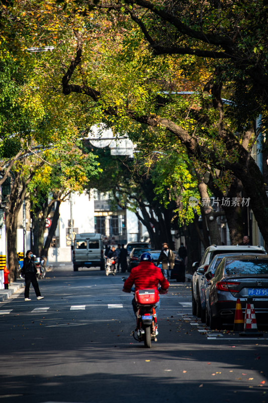 上海安亭路街景秋色