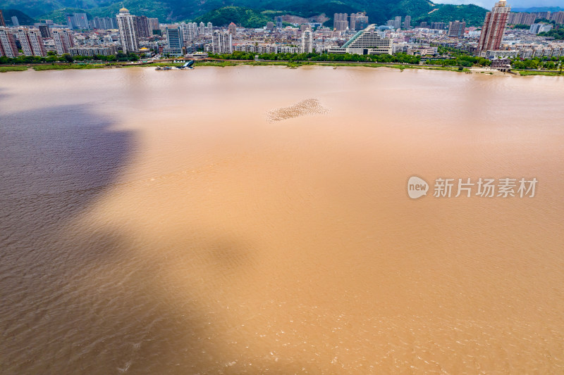 浙江欧洲瓯江江心屿航拍摄影图