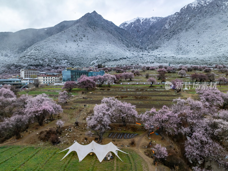 西藏林芝桃花节航拍