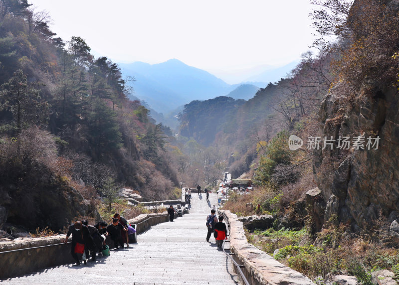 山东泰山景观