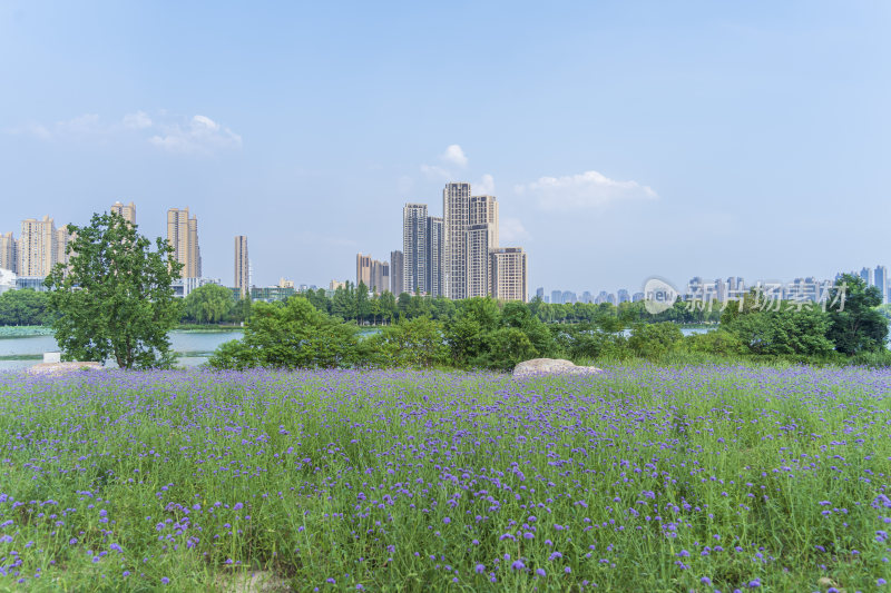 武汉汉阳墨水湖公园湿地公园