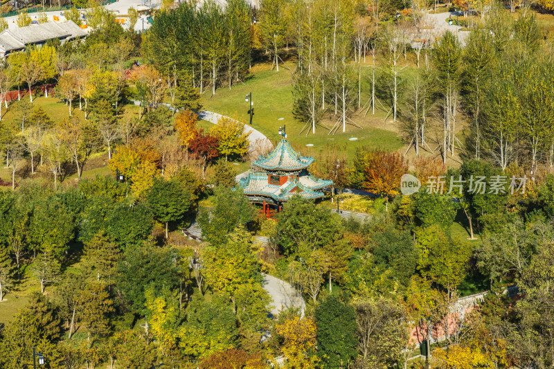 山西太原市双塔公园秋天的景色