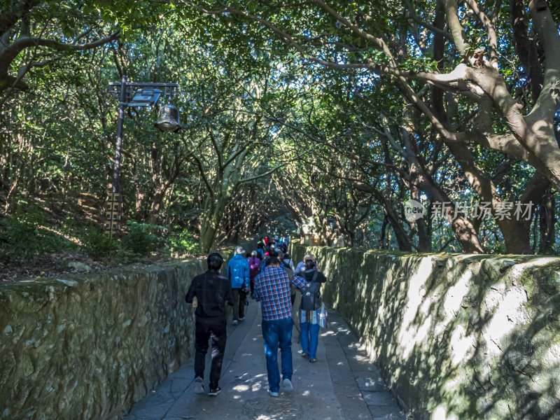 浙江普陀山慧济禅寺建筑