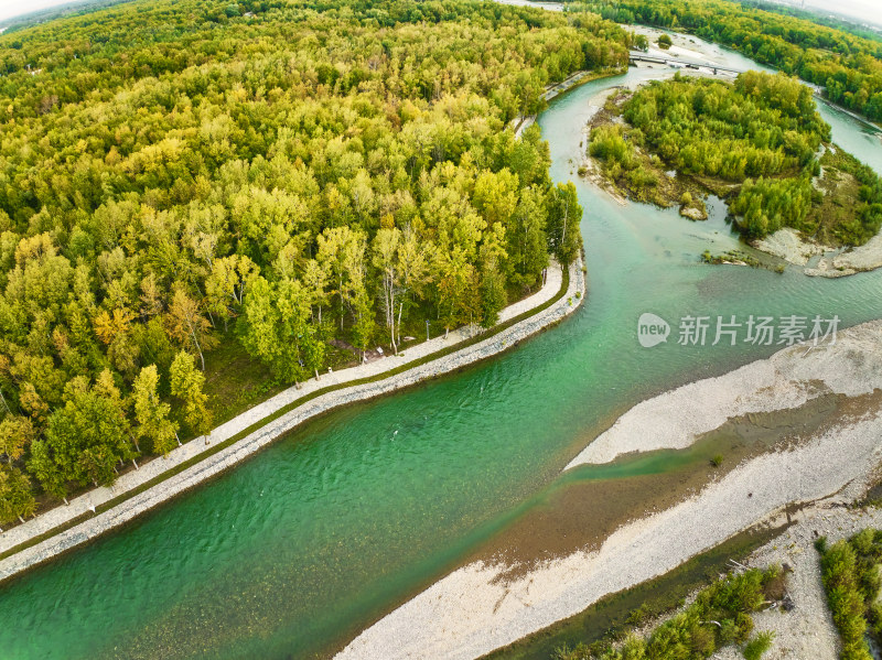 秋天的森林河流