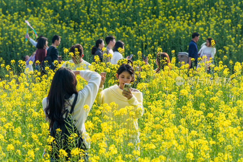 福州花海公园女孩在油菜花田拍照场景