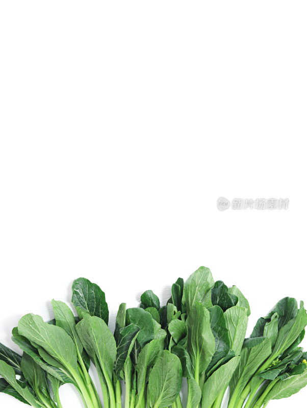 绿色蔬菜菜心青菜的白底图